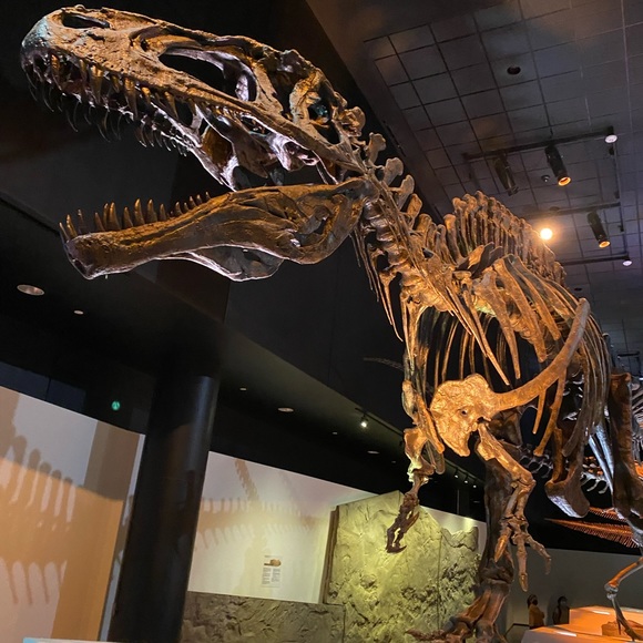 Meet your Posher, Karol - Picture 3 of 16